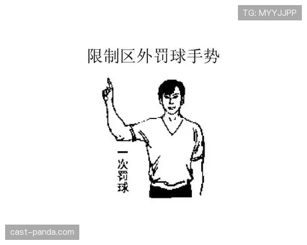 解读篮球持球掩护规则：裁判判罚标准与细节