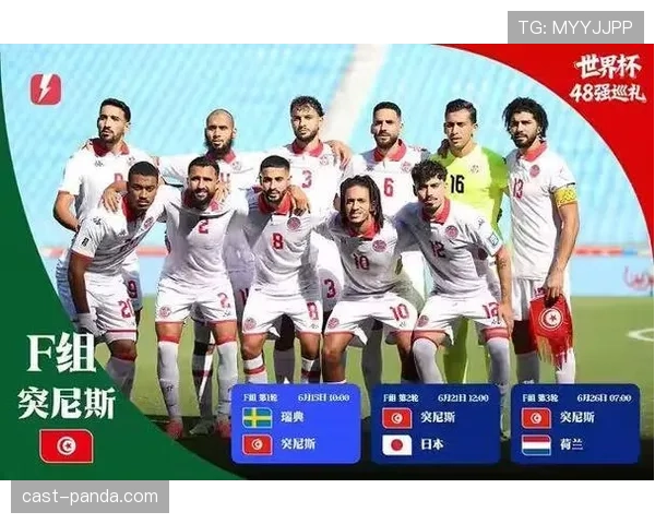 突尼斯2026世界杯赛程前瞻：小组对手与出线形势分析