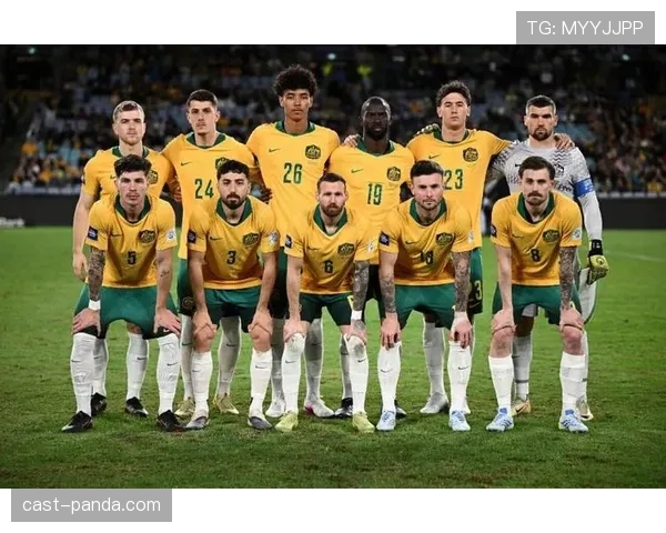 世界杯美国队D组阵容深度分析